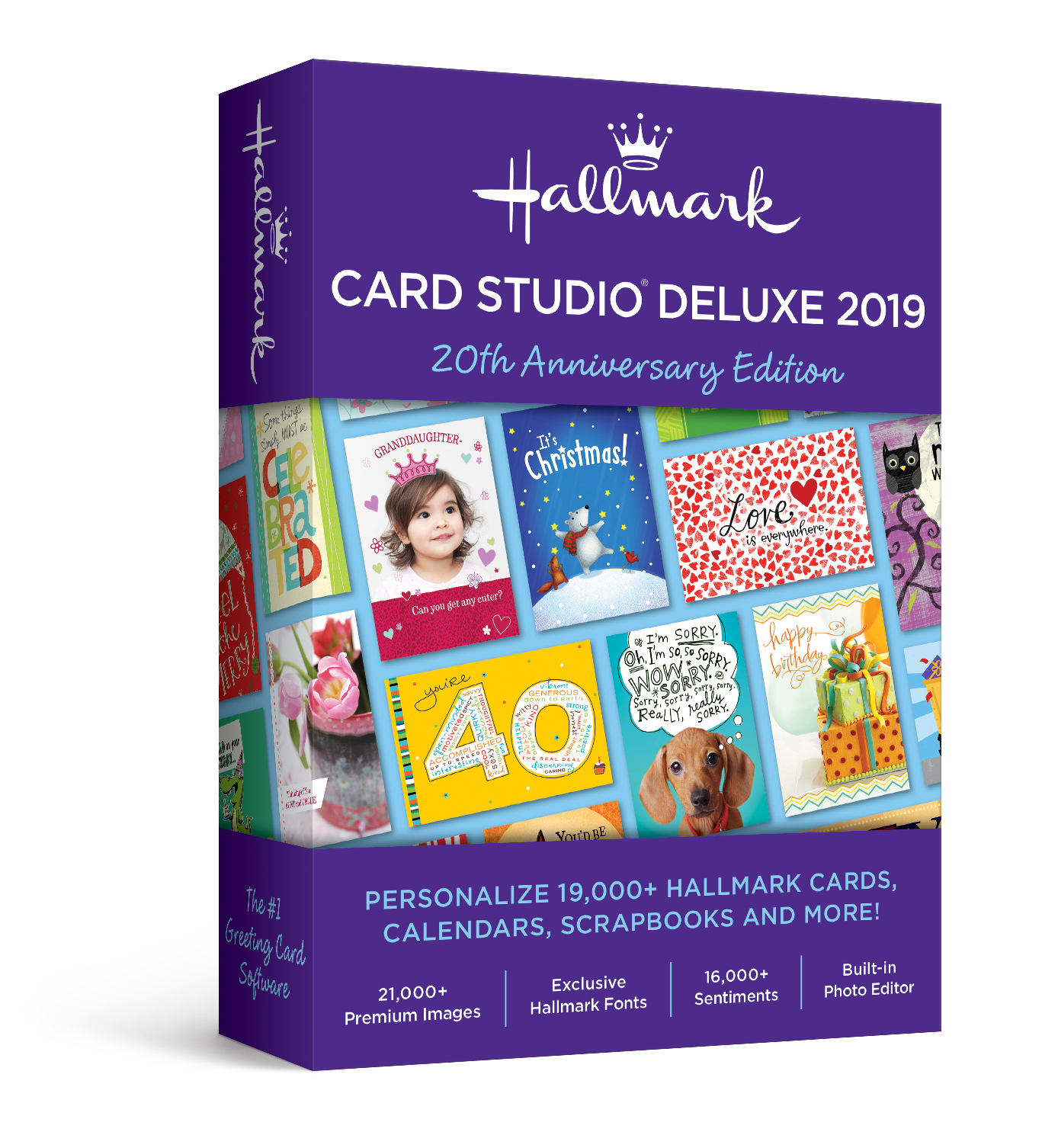 the card studio