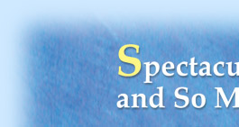 Spectacular Cards - and So Much More!